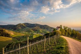 Solarzellen mit integriertem Energiespeicher